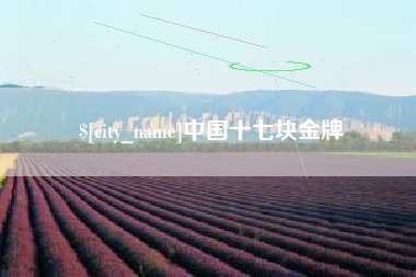 分宜中国十七块金牌