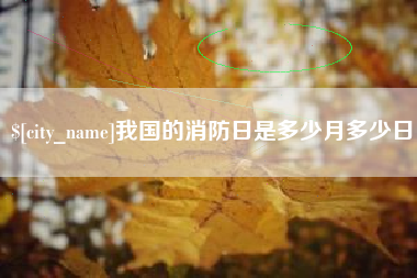 分宜我国的消防日是多少月多少日