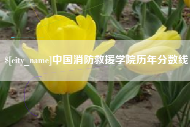 分宜中国消防救援学院历年分数线