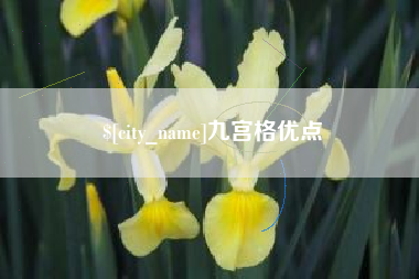 分宜九宫格优点