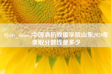 分宜中国消防救援学院山东2020年录取分数线是多少