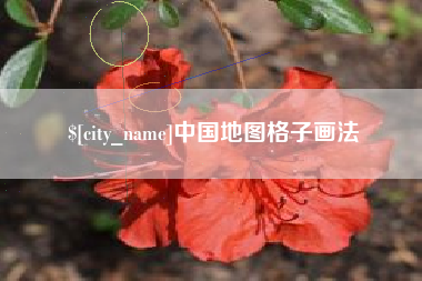 分宜中国地图格子画法