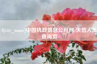 分宜中国执政信息公开网-失信人员查询页