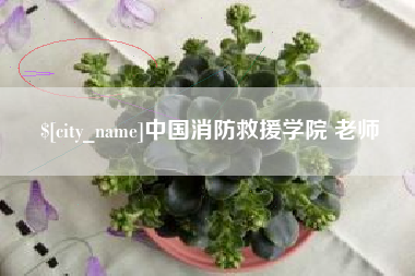 分宜中国消防救援学院 老师