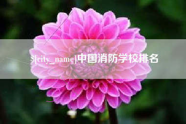 分宜中国消防学校排名