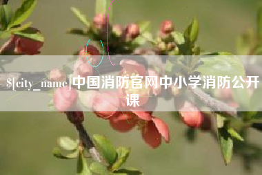 分宜中国消防官网中小学消防公开课