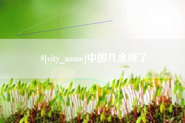 分宜中国几金牌了