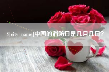 分宜中国的消防日是几月几日？