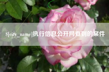 分宜执行信息公开网查到的案件