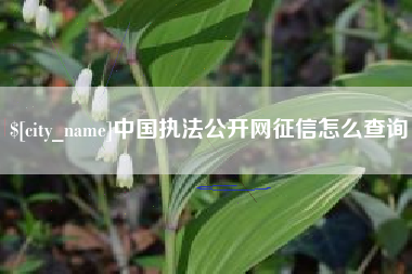 分宜中国执法公开网征信怎么查询