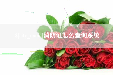 分宜消防证怎么查询系统