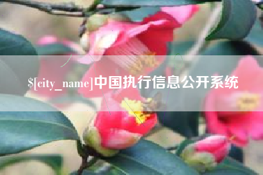 分宜中国执行信息公开系统