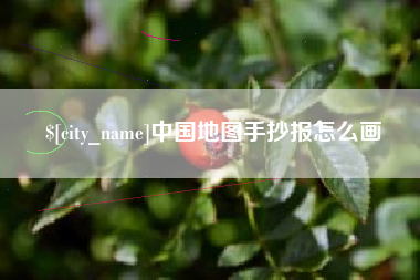 分宜中国地图手抄报怎么画