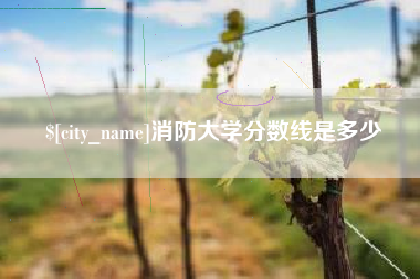 分宜消防大学分数线是多少