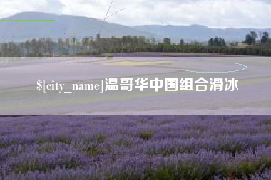 分宜温哥华中国组合滑冰
