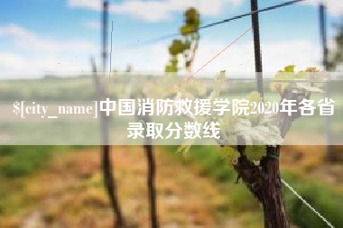 分宜中国消防救援学院2020年各省录取分数线