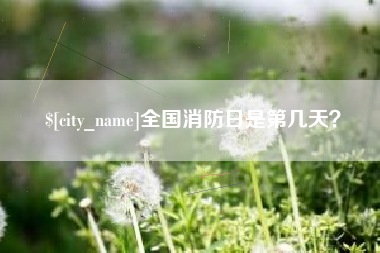 分宜全国消防日是第几天？