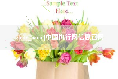 分宜中国执行网信息官网