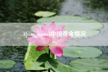分宜中国夺金情况