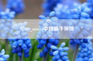 分宜中国最牛保镖