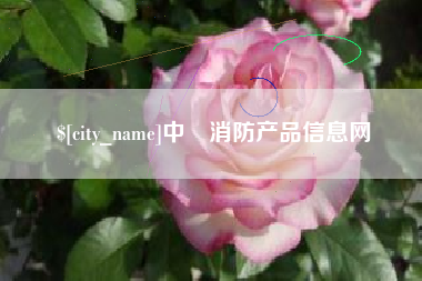 分宜中囯消防产品信息网