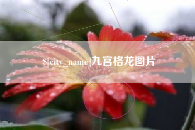 分宜九宫格龙图片