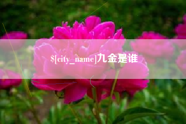 分宜九金是谁