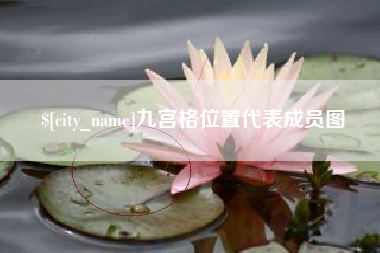 分宜九宫格位置代表成员图