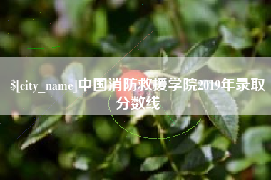 分宜中国消防救援学院2019年录取分数线