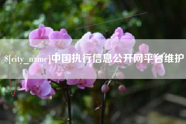 分宜中国执行信息公开网平台维护