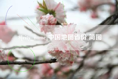 分宜中国地图省份 简图