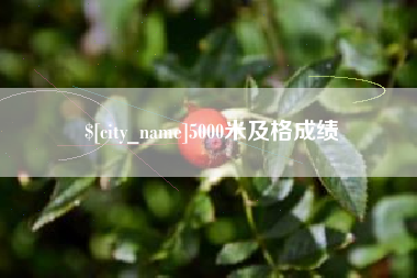 分宜5000米及格成绩