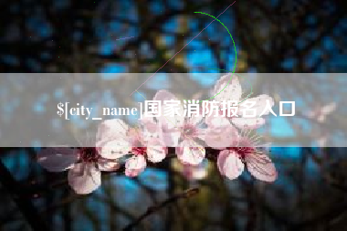 分宜国家消防报名入口