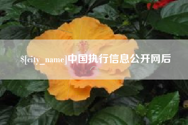分宜中国执行信息公开网后