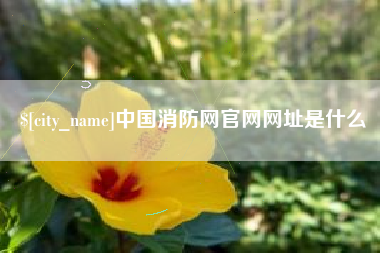 分宜中国消防网官网网址是什么