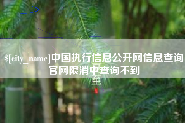 分宜中国执行信息公开网信息查询官网限消中查询不到