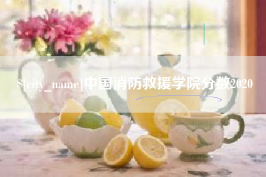 分宜中国消防救援学院分数2020