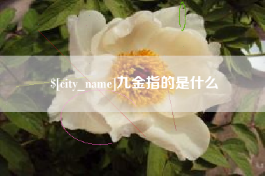 分宜九金指的是什么