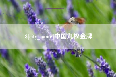 分宜中国九枚金牌