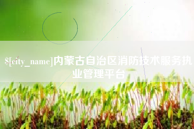 分宜内蒙古自治区消防技术服务执业管理平台