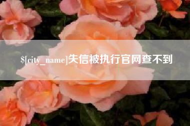 分宜失信被执行官网查不到