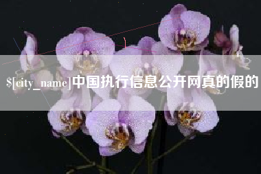 分宜中国执行信息公开网真的假的