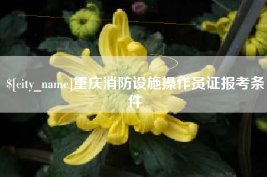 分宜重庆消防设施操作员证报考条件