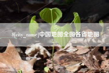 分宜中国地图全图各省地图