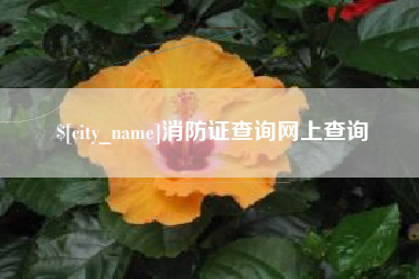 分宜消防证查询网上查询