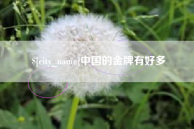 分宜中国的金牌有好多