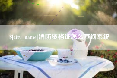 分宜消防资格证怎么查询系统