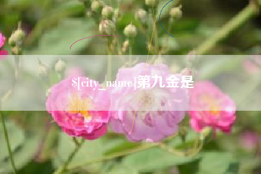 分宜第九金是