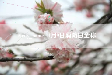 分宜11月9日消防日全称