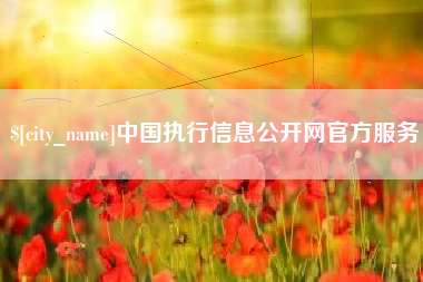 分宜中国执行信息公开网官方服务